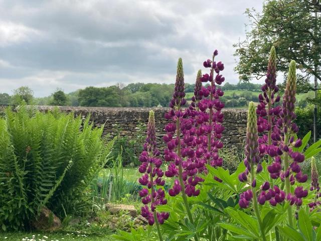 Meadow Rise – Guesthouse/bed and breakfast, Bourton on the Water
