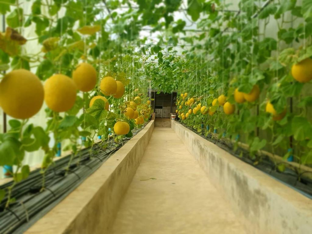 Melon Sky, Hotel – Chanthaburi (zdjęcie 1)