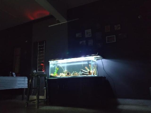 monkey mind hostel, Hostel – Goa (foto 3)
