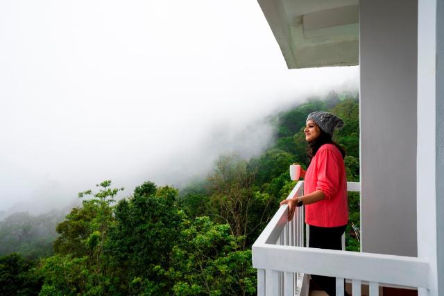 Monkey Tribe Munnar, Hostel – Munnar (photo 2)