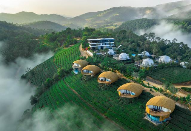 Monticle Glamps – Hotel, Kottayam