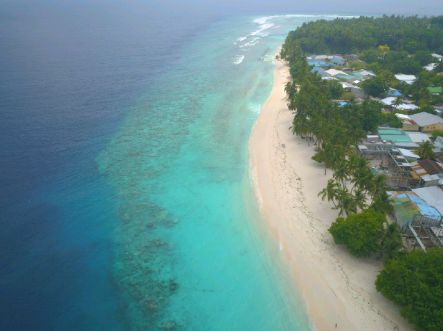 Moonshell Residence, Guesthouse/bed and breakfast – Maldive Islands (photo 4)