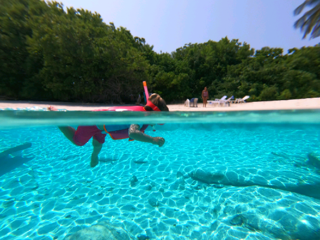 Moonshell Residence, Guesthouse/bed and breakfast – Maldive Islands (photo 5)