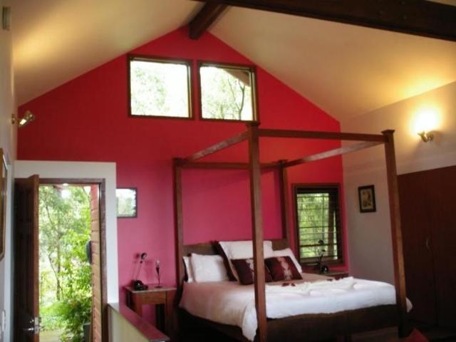 Mountain Edge Studios, Guesthouse/bed and breakfast – Gold Coast (photo 2)