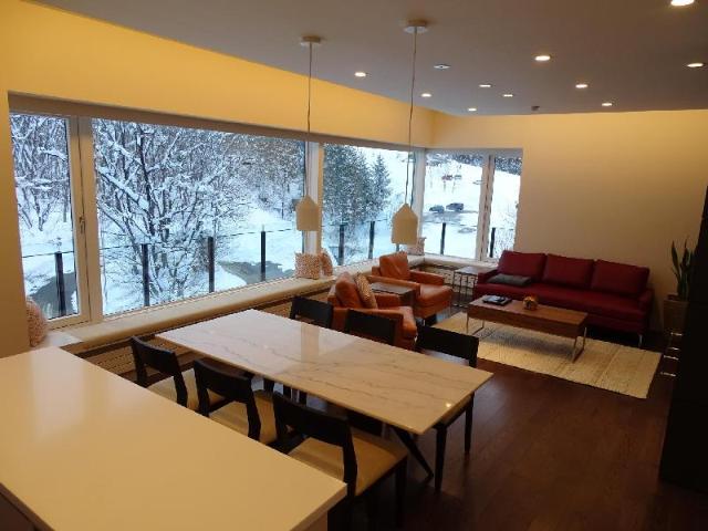 Mountain Side, Appartamento – Hakuba (foto 4)