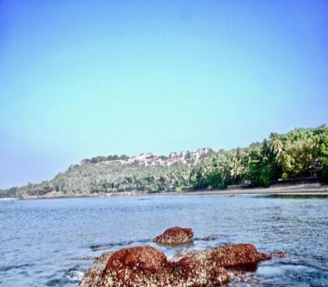 Nirvana Serenity, Hotel – Goa (photo 5)