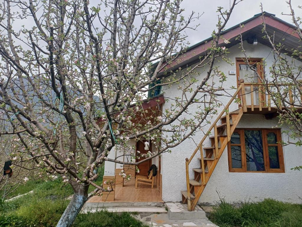 Villa di 9000 m² con 2 camera(e) e 2 bagno(i) privato(i) in zona Larankelo, Villa e casa – Manali (foto 1)