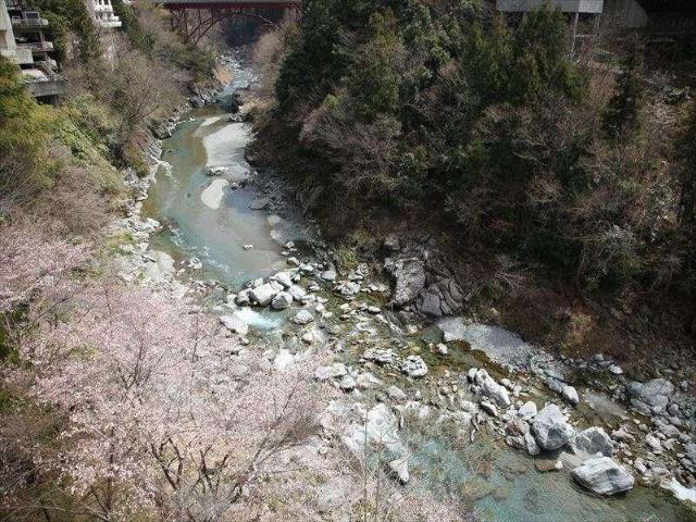 Okuiya, Ryokan – Miyoshi-shi (photo 3)