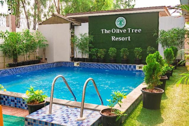Olive Tree Resort – Hotel, Malavli
