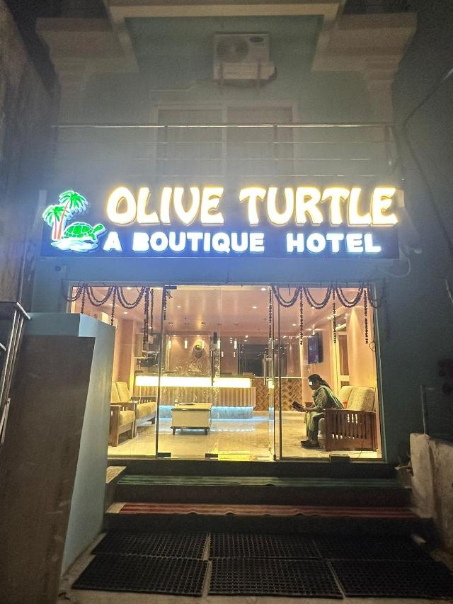 Olive turtle, Hotel – Puri (foto 3)
