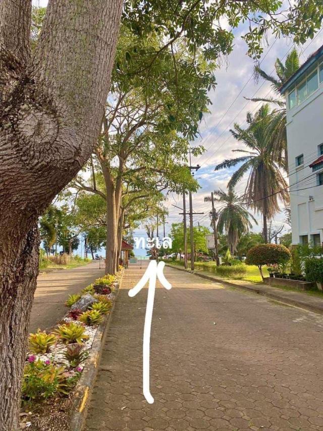 位于佩的3卧室独栋房屋-89平方米|带2个独立浴室, 别墅和独栋房屋 – 罗勇府 (第2张照片)