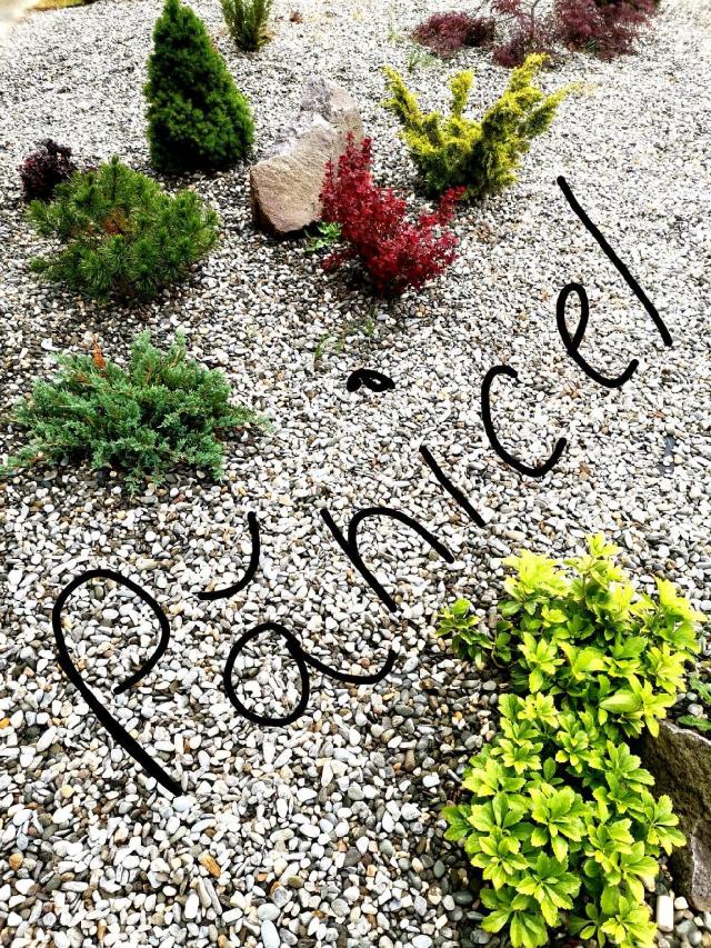 Panicel, Resort – Risnov (foto 4)