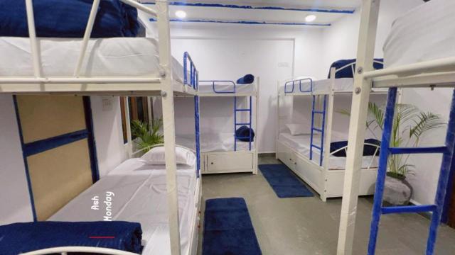 Pause, Hostel – Ujjain (photo 2)