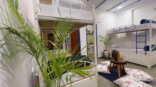 Pause, Hostel – Ujjain (photo 3)