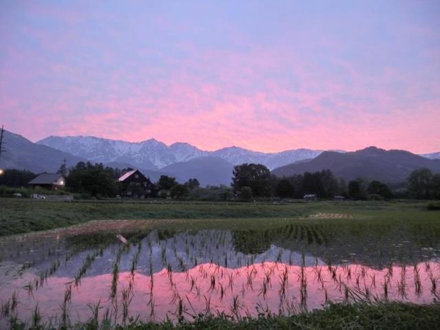 Phoenix Chalets, Resort – Hakuba (Foto 3)