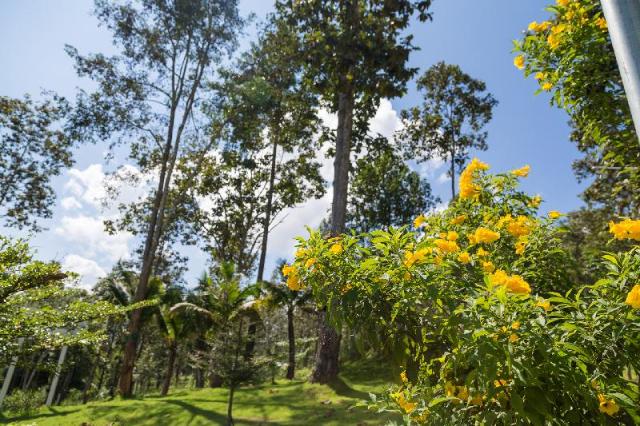 PhuPha view Doi, Pensione e B&B – Chiang Mai (foto 4)
