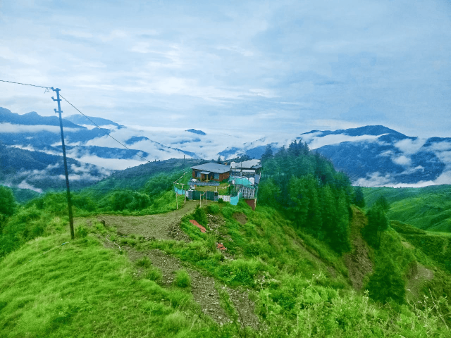 Pinaceae Resort – Resort, Chakrata