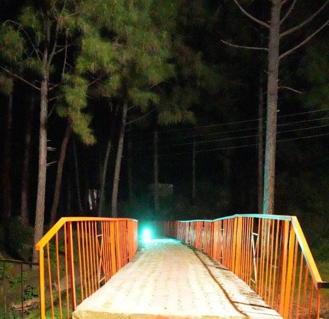 Pine Hideout, Hôtel – Sukrala (photo 4)