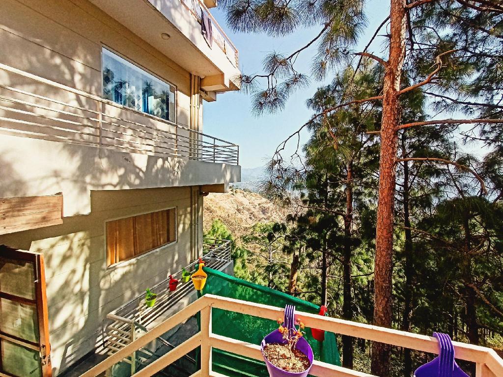pine peak, Pension & B&B – Jabli (foto 1)
