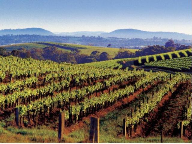Quest Singleton – Serviced apartment, Hunter Valley