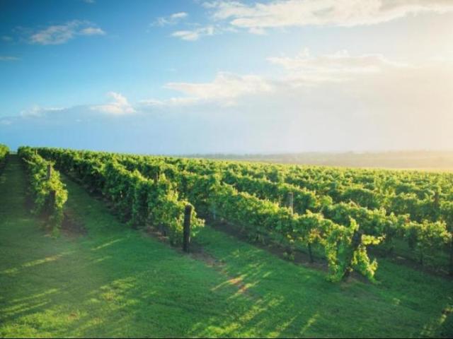 Quest Singleton, Appartamento – Hunter Valley (foto 4)