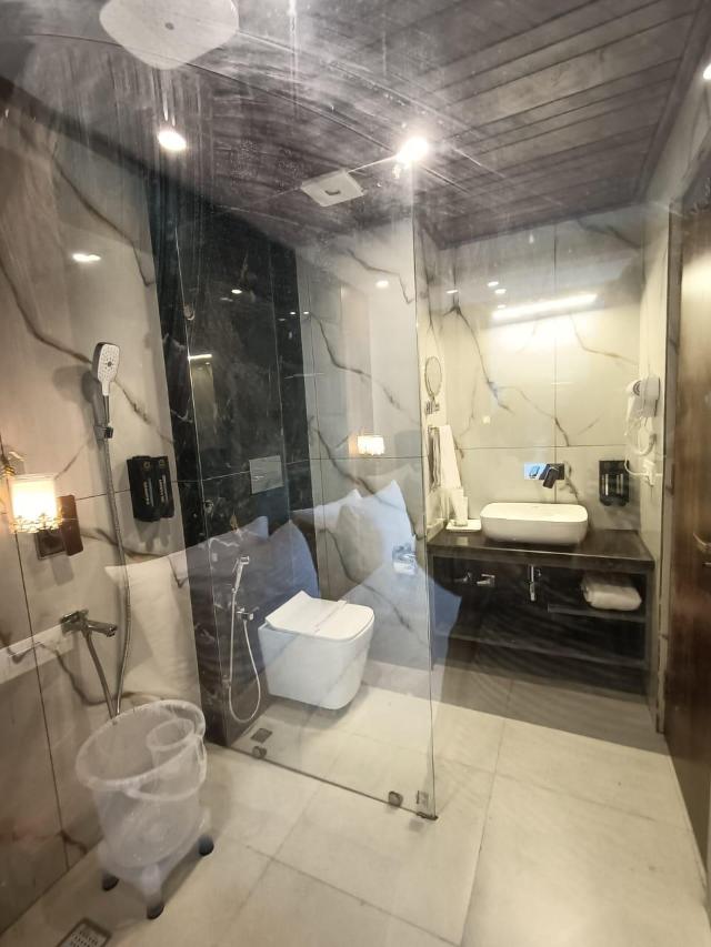 ROMANTIC PALACE FOR HOLIDAYS, Apartment/Flat – Manali (photo 3)