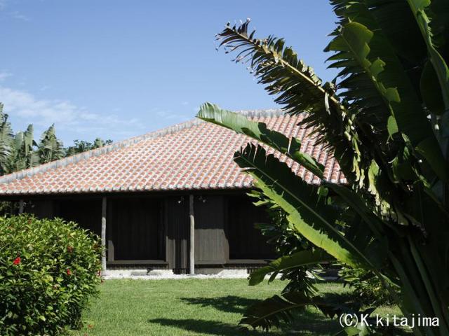 Ruka, Guesthouse/bed and breakfast – Taketomi (photo 3)