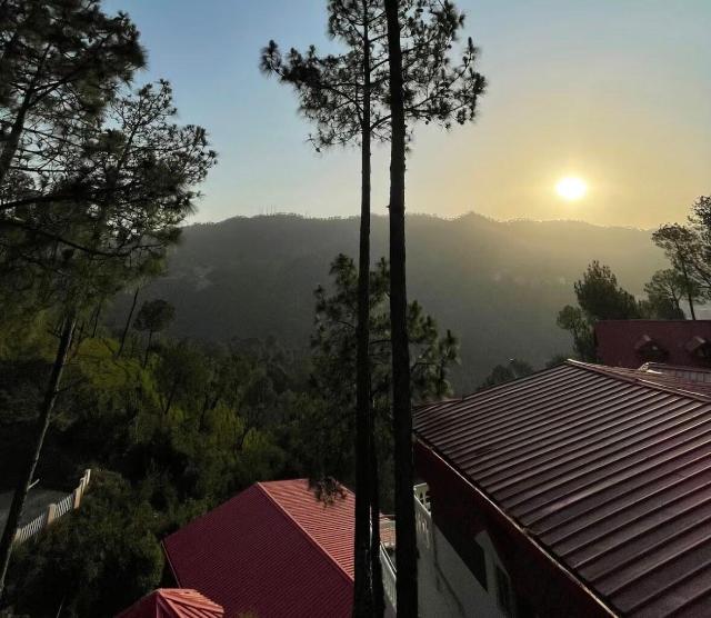Rustic Pines – Homestay, Barog