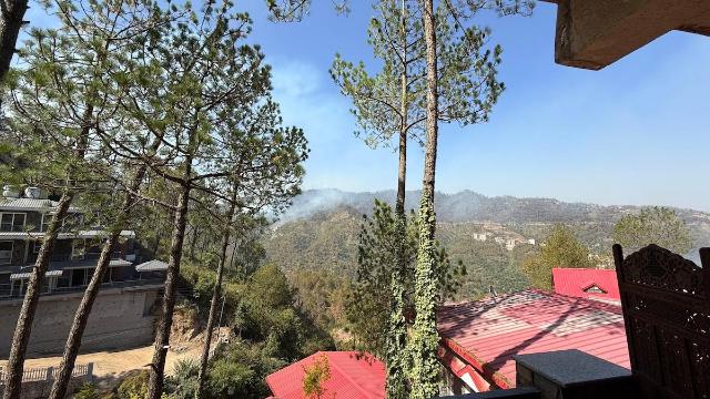 Rustic Pines, Homestay – Barog (photo 4)