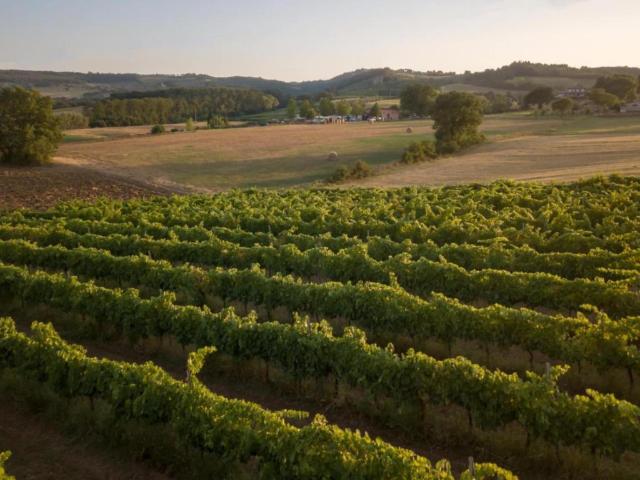 Rustic Tranquility, Umbrian, Villa & huis – Marsciano (foto 2)