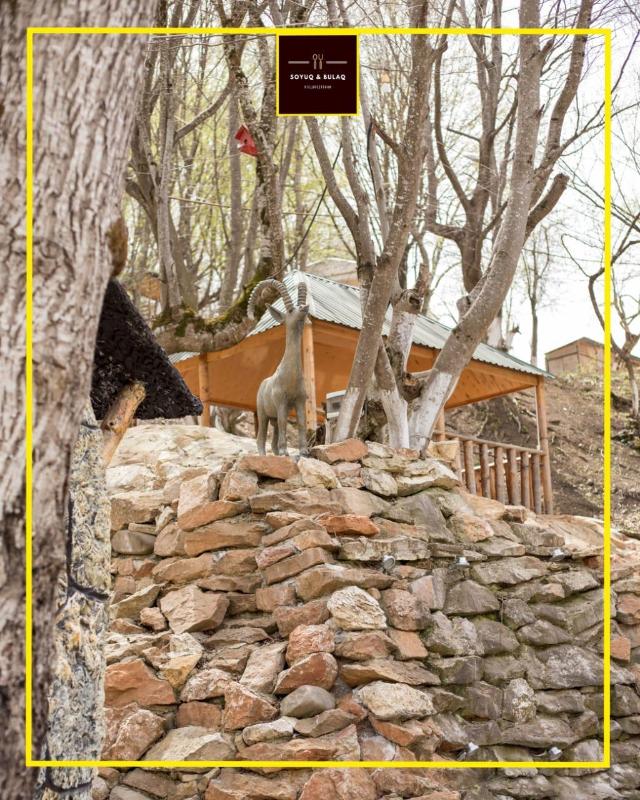 Villa avec 1 chambre(s) de 60 m² et 1 salle(s) de bains privée(s) à Qechresh, Villa & maison – Qechresh (photo 2)