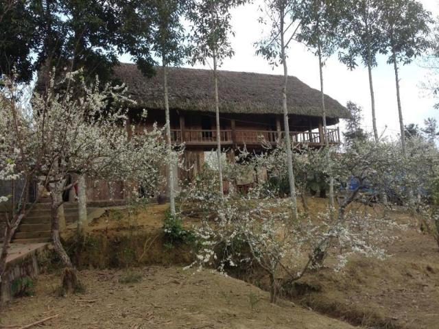 Sa House – Homestay, Bac Ha (Lao Cai)