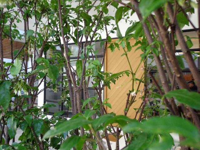 Silom Studios, Hôtel – Bangkok (photo 4)