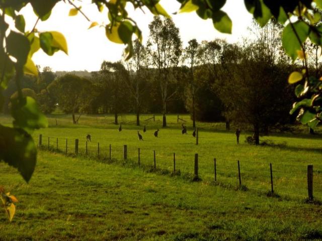 Silverpoint Accommodation, Serviced apartment – Hunter Valley (photo 4)