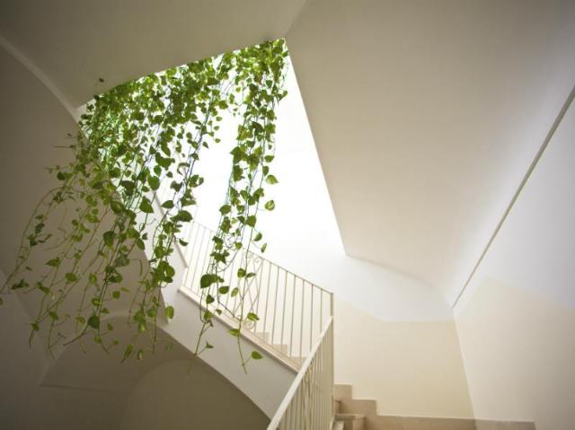 Sisters' Hotel – Hotel, Piano di Sorrento