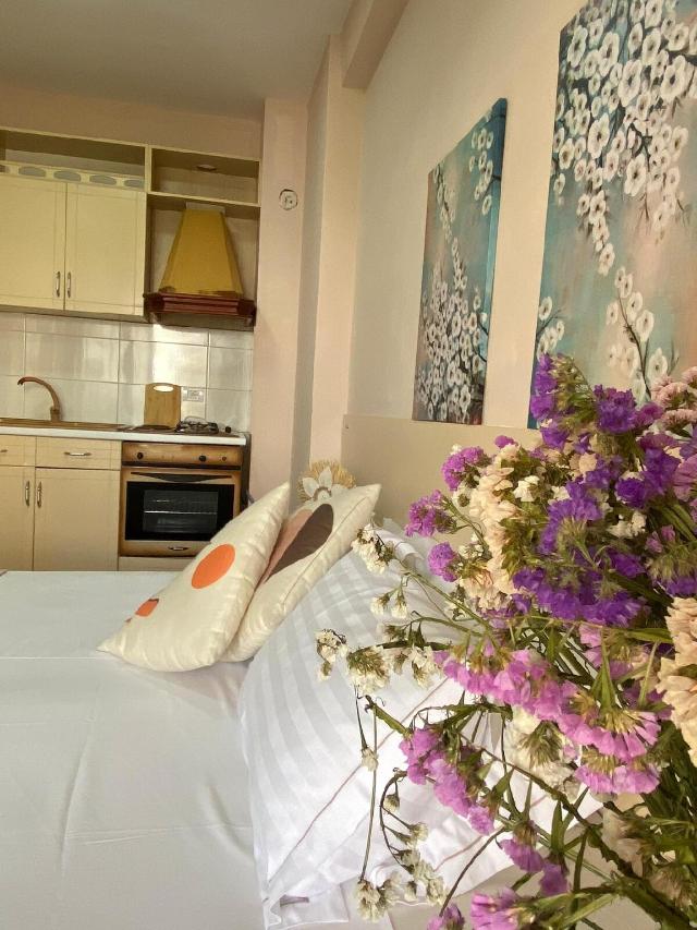 Maison avec 1 chambre(s) de 40 m² et 1 salle(s) de bains privée(s) à Arapaj, Villa & maison – Durrës (photo 2)