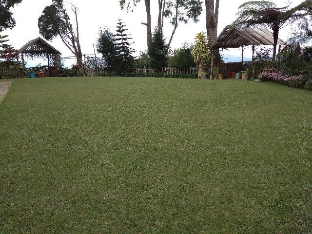 Sunlight Suite, Resort – Cameron Highlands (foto 2)