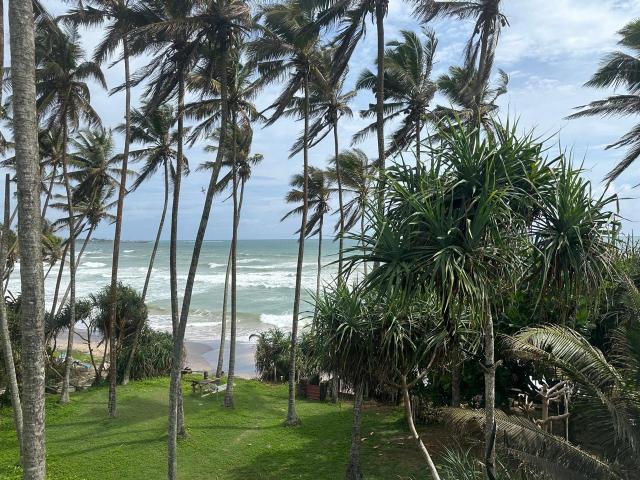 Surf Dine, Hotel – Matara (foto 4)