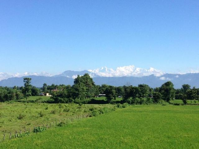 Sweet Home, Pension & B&B – Chitwan (Foto 2)