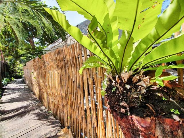 Tonsak Resort, Resort – Ko Samet (photo 2)