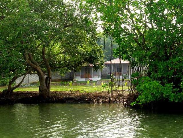 Tranqualitychalets, Guesthouse/bed and breakfast – Tangalle (photo 5)