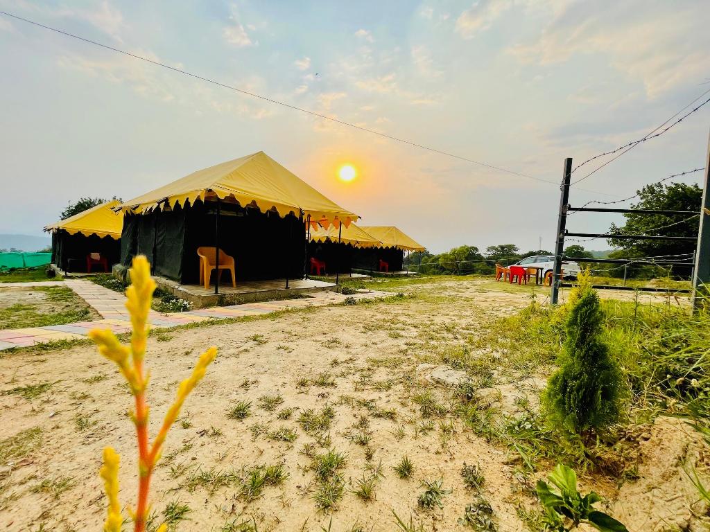 Tree bones camp, Alojamiento singular – Palampur (foto 1)