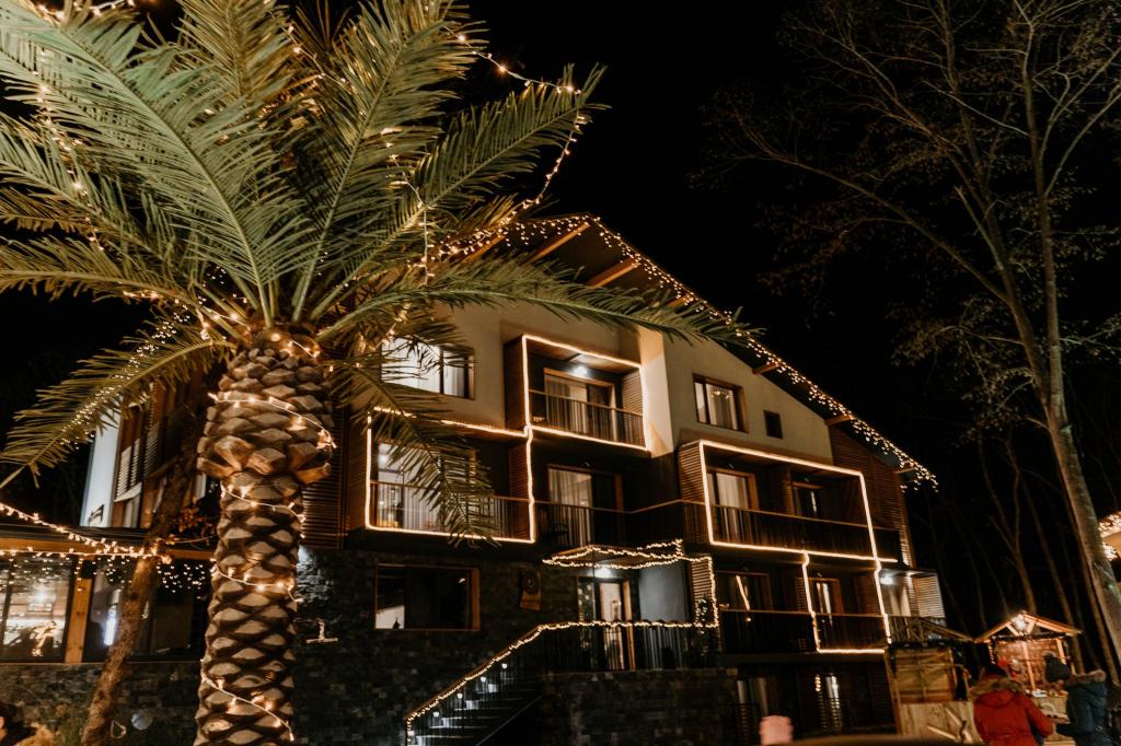 Utopia Forest, Hotel – Kraymorie (foto 1)