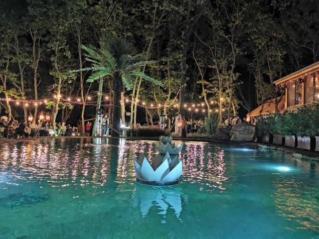 Utopia Forest, Hotel – Kraymorie (foto 5)