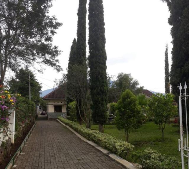 Villa Bunga, Maison d’hôtes & B&B – Malang (photo 4)