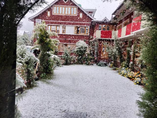 Walisons Hotel – Hotel, Srinagar