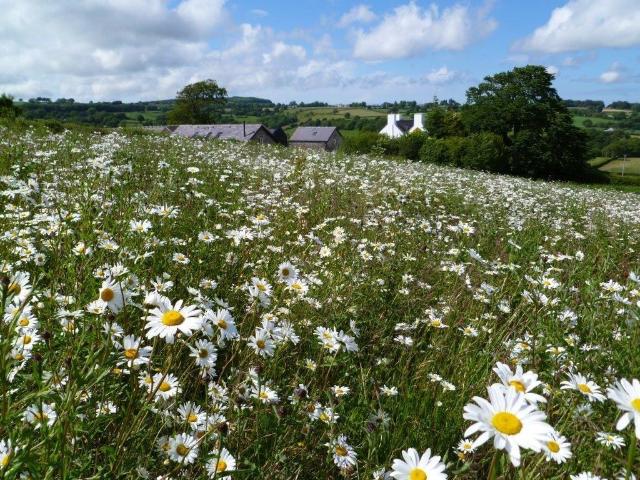 Wernddofn, Maison d’hôtes & B&B – Fishguard (photo 3)
